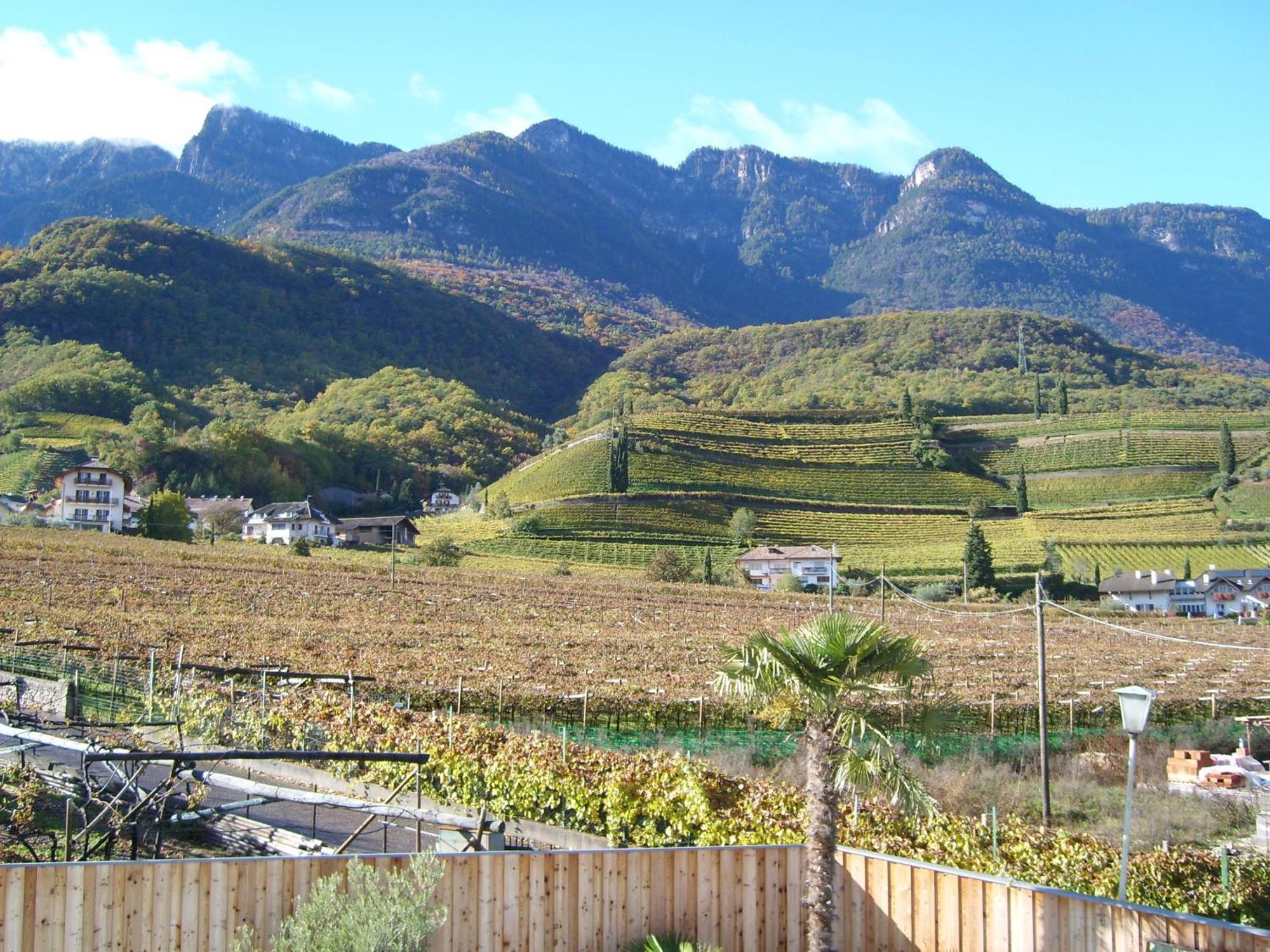 Garni Sonnleitenhof 3* Caldaro
